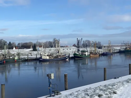 Nice, large and bright apartment in Ankerstrasse 10