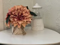 Newly renovated cozy cottage, located in the backyard of my home.