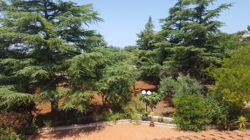 The scents of the Puglia countryside a stone's throw from the sea of ​​Polignano a Mare