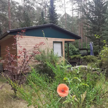Ferienhaus Waldoase für 2 - 3 Personen, Freistehend auf Eingezäuntem Grundstück