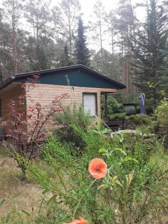 Ferienhaus Waldoase für 2 - 3 Personen, Freistehend auf Eingezäuntem Grundstück