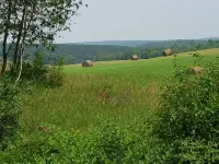 One Mile from Downtown Harbor Springs, Close to Ski Hills and Snowmobile Trails Hotels in West Traverse Township