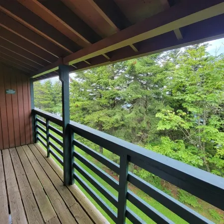 Cozy Loft nestled atop of Snowshoe