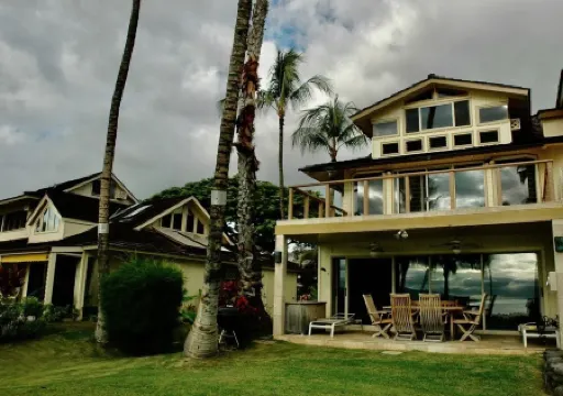 Puamana Ocean Front Tropical Paradise 226-1