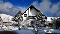 Apartment for families with children, with internet access and only 800 m from the ski lift