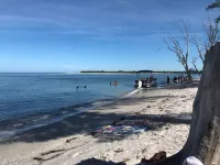 Beautiful Palm Island House! Walk2Beach. Pool, Spa, Kayaks, Bikes, Dock.Amazing!