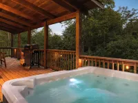 Shenandoah Mountain Majesty Log Cabin on 15 Acres - Hot Tub-1GB Fiber Internet Hotels in Greene County