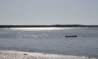 Steps to bayside beach