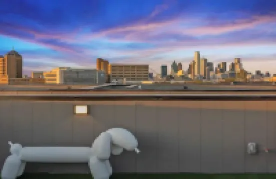 Bishop Arts~Dallas Skyline Views~Rooftop~3 Bedroom with Private Bathrooms