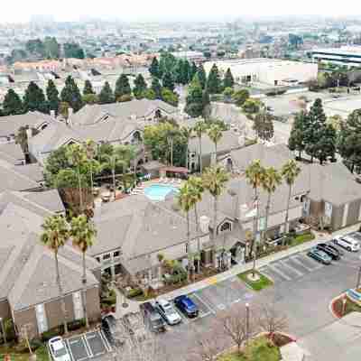 ソネスタ ES スイーツ トーランス レドンド ビーチ Hotel Exterior