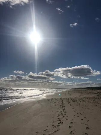 Island Beach Cottage: Your Zen Retreat by the Sea.