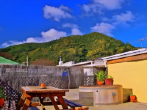 紅杉背包族小旅館 皮克頓酒店