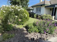 Daisy Cottage on Duke Hotels in Yarram