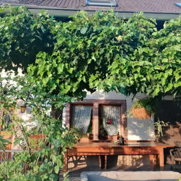 Holiday Apartment Cherry Blossom Отели в г. Шуттерталь