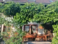 Room-Small Holiday Cottage Ivy
