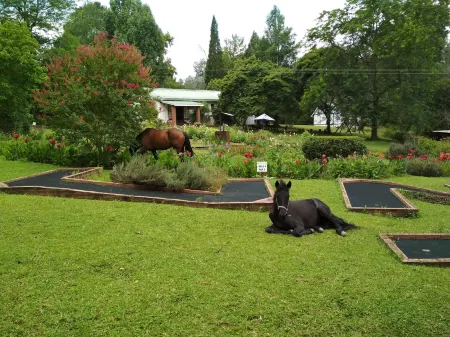 Millgate Cottage Отели рядом с достопримечательностью «Nelson Mandela Capture Site»