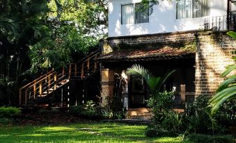 La Joyita Cuernavaca