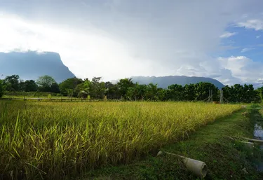 รูปภาพของบ้านสวนตะวันเชียงดาว