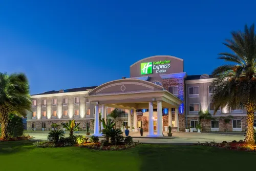 Holiday Inn Express & Suites NEW IBERIA-AVERY ISLAND by IHG - Wifi