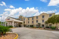 Comfort Suites Port Allen - Baton Rouge Hotels in West Baton Rouge Parish