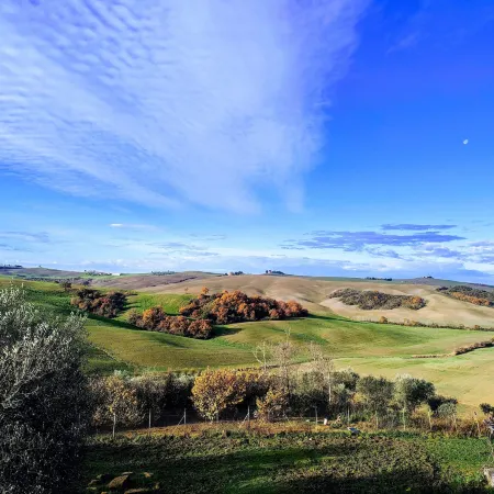 Podere Spedalone