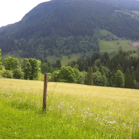 Schladming Spacious Base with Sauna