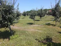 Salaš Farma 47-Miris Dunja Các khách sạn ở 