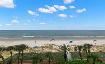 The Rose 503 - Housity