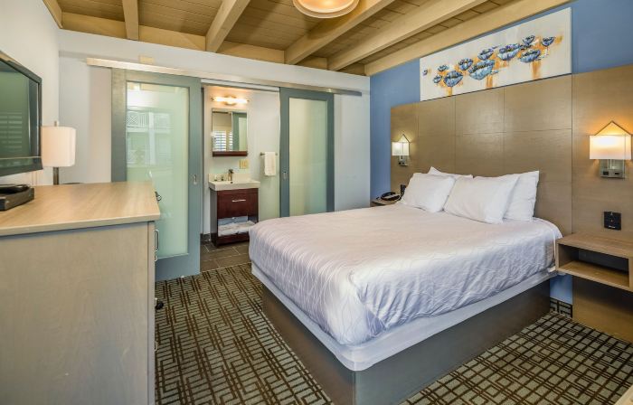 Silicon Valley Inn