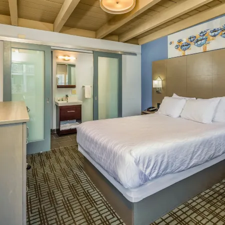 Silicon Valley Inn