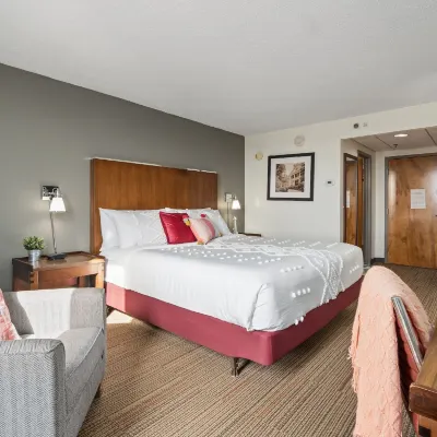 315 LoSo Hotel Airport Hotels near SouthPark