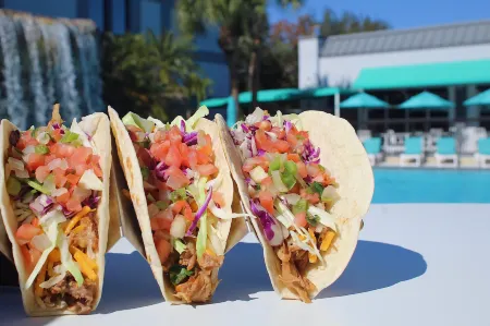 Opal Hotel & Suites Отели в г. Алтамонте Спрингс