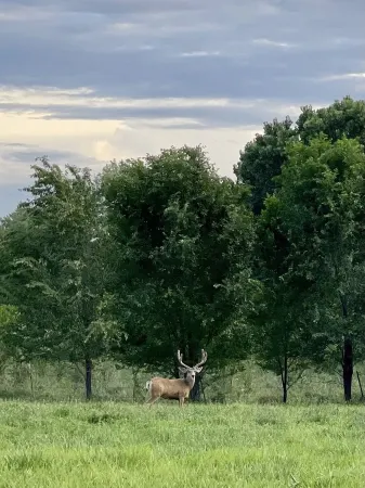 A little bit of country