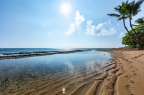 Breathtaking Ocean and Pool Views - Stunning Oceanfront Retreat