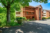 Partial Views and Close to Dollywood - Charming Mountain Escape