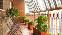 Suites 51 Hotels in Aurelio