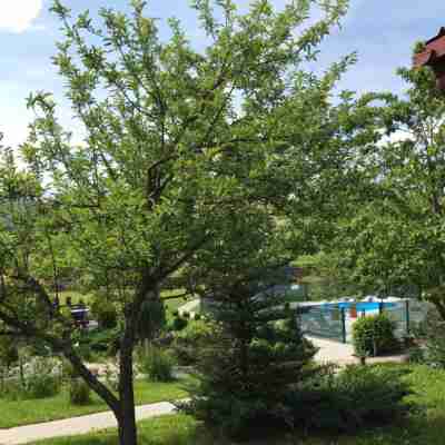 Villa Rubčić Rooms Hotel Exterior