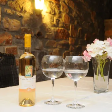 Skiathos Island Villas