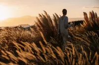 Ammothines Cycladic Suites - Park Yeri