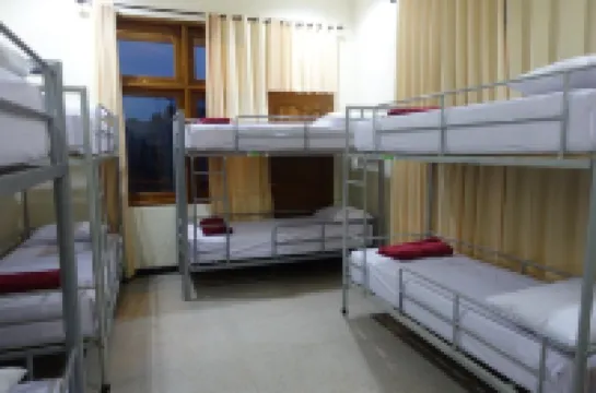 The Backpacker Semarang - Hostel