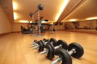 Radisson Hotel Puerto Varas - Phòng tập thể hình