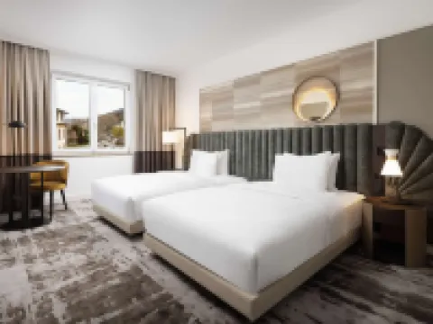 ヒルトン ハイデルベルク ハイデルベルクのホテル