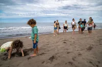 Valverde Glamping & Ecolodge - Beach