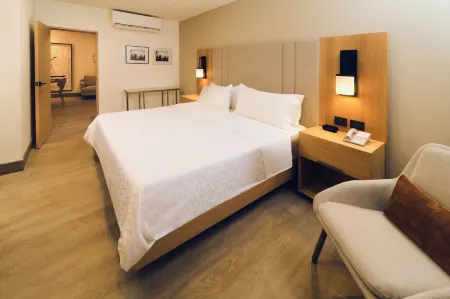 Holiday Inn TIJUANA ZONA RIO by IHG