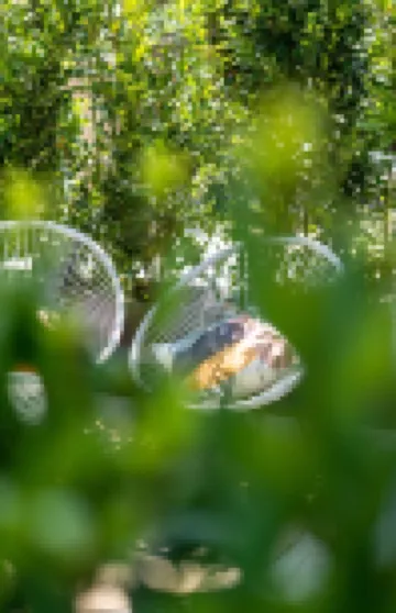 Villa Ilma Luxury Rooms