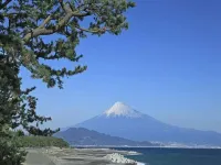 Toyoko Inn Shizuoka Shimizu Ekimae