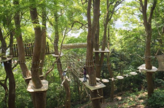 ホテル周辺 星野リゾート リゾナーレ熱海の写真