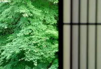 Ryokan Sumiya Kihoan - Mountain view