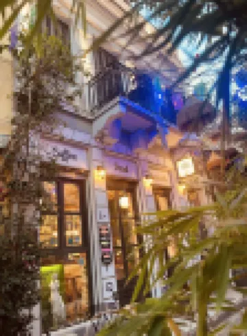 The Frogs_Guest House