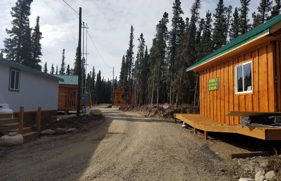 德納利特里谷小屋酒店